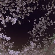 翠亜☘️🎧🫧さんのアイコン画像
