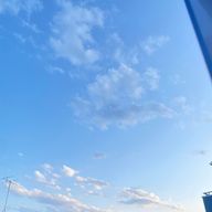 ️ｺﾊﾞﾔｼ ﾀﾞﾖ  @低浮上さんのアイコン画像