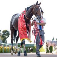 ローシャムパークさんのアイコン画像