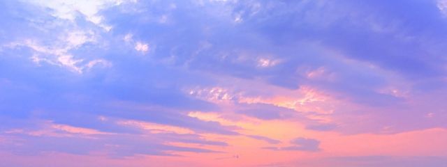 空木 @低浮上さんの壁紙画像