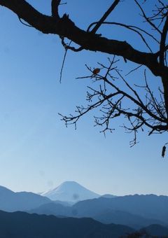 【短編集】さいきょーの探検隊