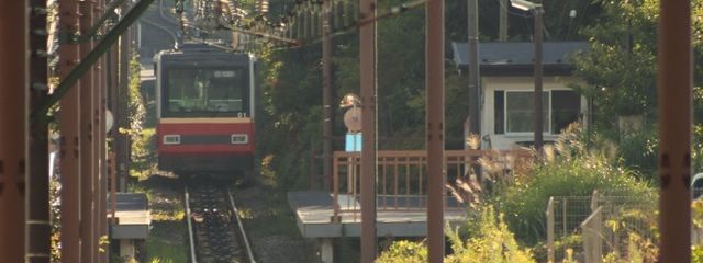 🌀 - さつま - 🌻さんの壁紙画像