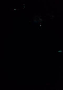 マジカルマジックダンガンロンパ！【募集中】