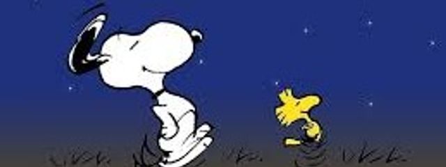 さあらさんの壁紙画像