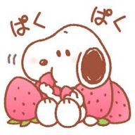 さあらさんのアイコン画像