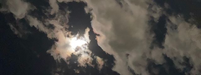 星乃#低浮上さんの壁紙画像