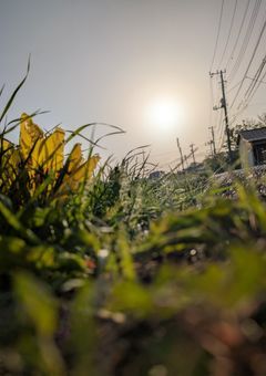 ライラ'sトークルーム