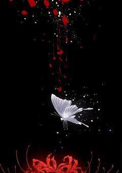 ＣＡＶＥ_カーヴェ_