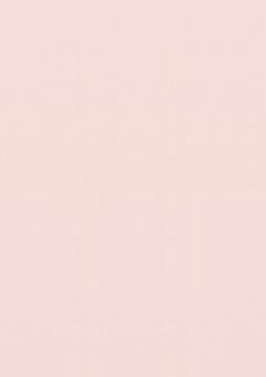 参加型 ¦ 人とポケモンの共生 〆