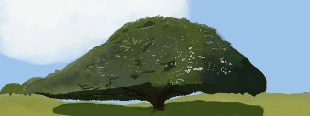 コハ　さんの壁紙画像