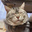 ぬっしっしー