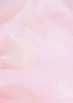 🎀🗣️