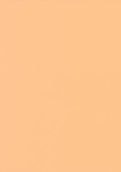 ガーベラの福音 9