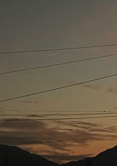 記憶を無くした少女はヨコハマで武装探偵社に拾われたらしいです