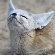 みかさんのアイコン画像