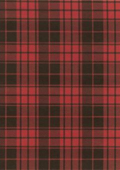 𝜗𝜚  ︙  𝘁𝗮𝗴