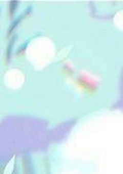 いいねの数だけ自己紹介！