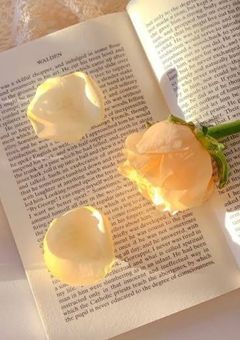 　彼 氏 が 購 入 し た A V 見 つ け ま し た