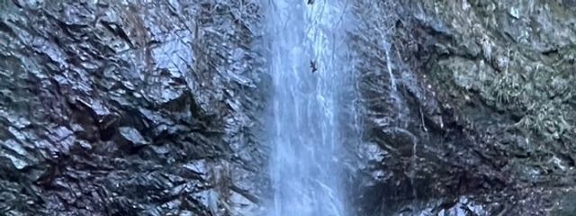 WKさんの壁紙画像