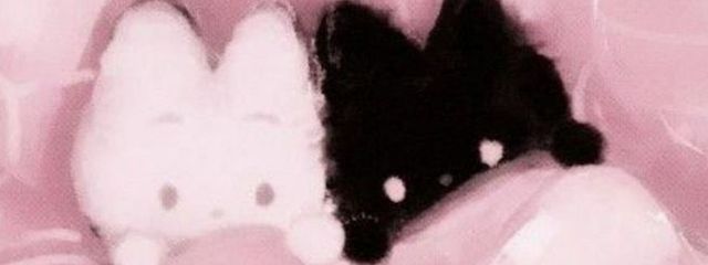 有栖つばさ🪽🖤さんの壁紙画像