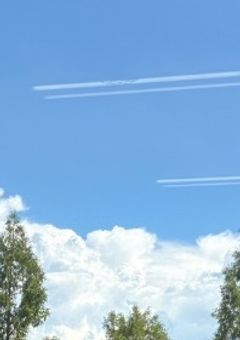 ❥ 眠り姫のお目覚め