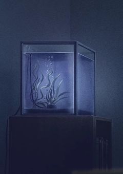 アンハッピーバレンタイン