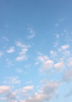 アイドルときどき医者