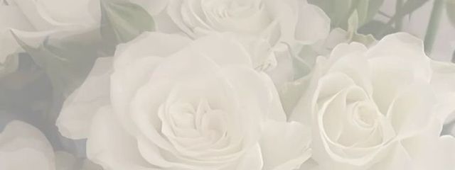 tenshi._.nowaさんの壁紙画像