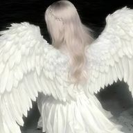 tenshi._.nowaさんのアイコン画像