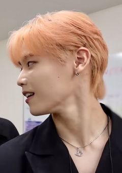 リーダーの妹、拾いました .