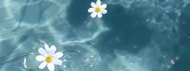 BMSGとLAPONE大好き！さんの壁紙画像