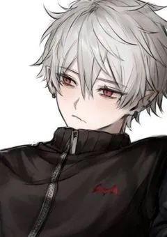 Nj ; 吸 血 鬼 の 妹 が 可 愛 い す ぎ る 話 ,