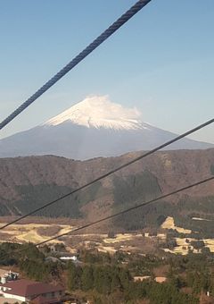 ペッ募(ペット募集中)