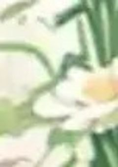 🎲🐶と🎼🦈は秘密の関係が…