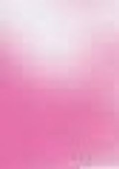 🎲🐶と🎼🌸は兄弟でした