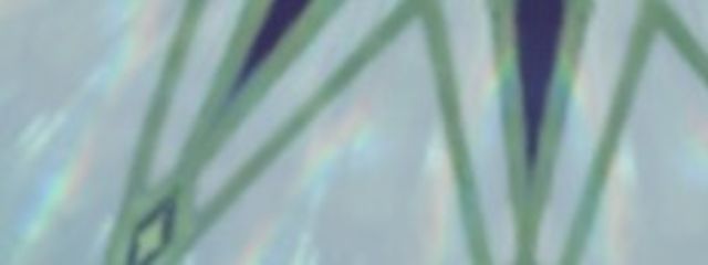 田中さんの壁紙画像