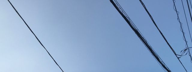 てすとさんの壁紙画像