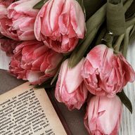 なっとぅさんのアイコン画像