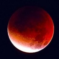 もやとろさんのアイコン画像