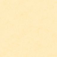 橙。さんのアイコン画像