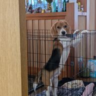 抹茶アイスさんのアイコン画像