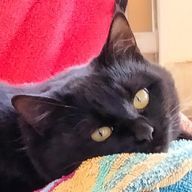 Otoさんのアイコン画像