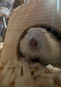 自受け😭😭😭