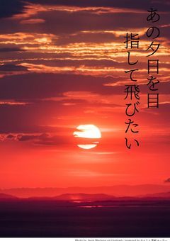 あの夕日を目指して飛びたい