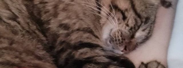 𝐊𝐚𝐧𝐧𝐚🚬💙さんの壁紙画像