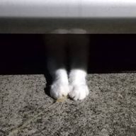 𝐊𝐚𝐧𝐧𝐚🚬💙さんのアイコン画像