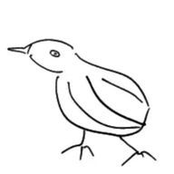 はるまきーのさんのアイコン画像