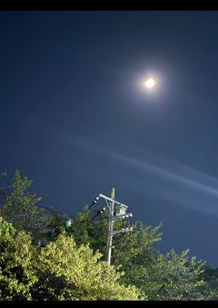 幻夢嵜学園生徒は最強です！！