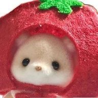 ﾀﾙｷﾞさんのアイコン画像