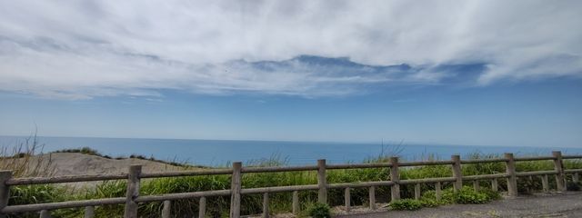 まめむしさんの壁紙画像